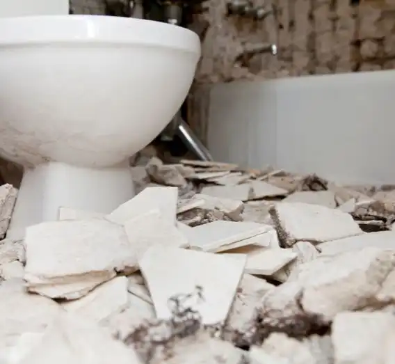 Demolition And Waste Removal