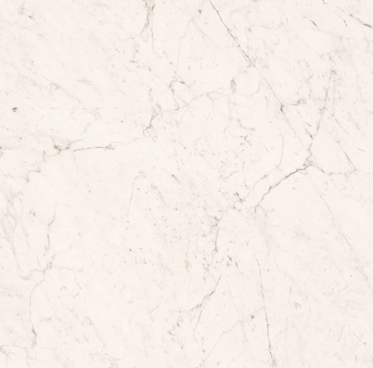 Superb Carrara Marble Look Honed Rectified Porcelain Tile 4461