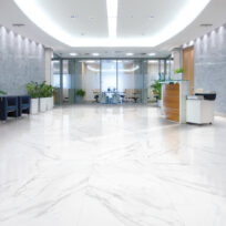 Coliseo Blanco Carrara Honed Rectified Porcelain Marble Look Tile 3786