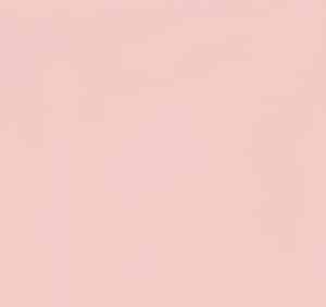 4839 - Florence Soft Pink Gloss