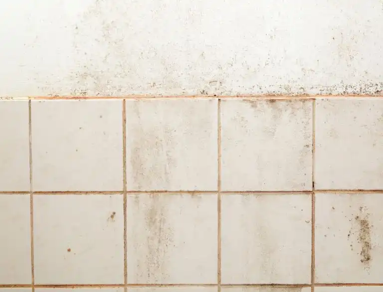 Mouldy Tiles