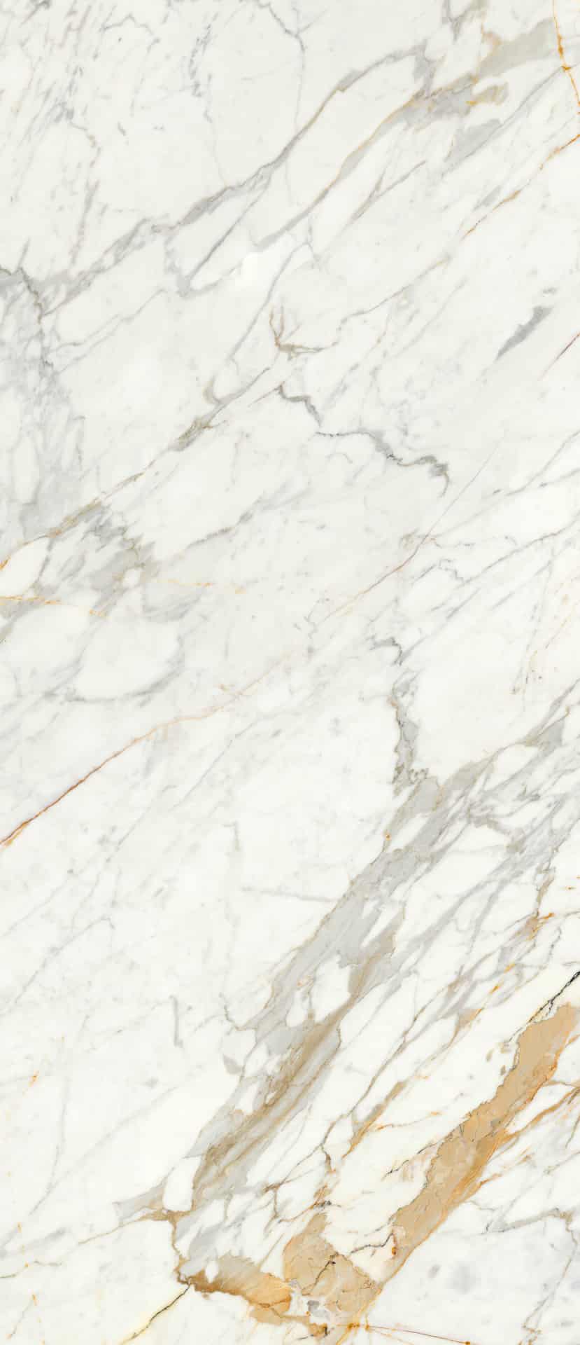 Calacatta Michelangelo Marble Look Matt Italian Rectified Porcelain Slab 2449