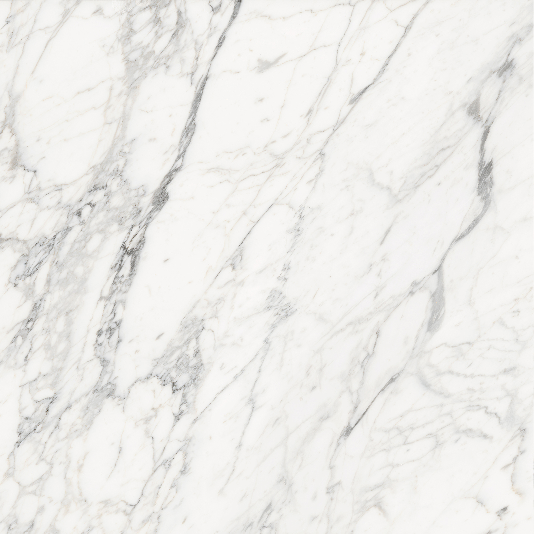 Alpine Carrara Marble Look In/Out Rectified Porcelain Tile 2735