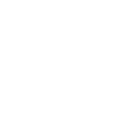 Bricks1 Icon
