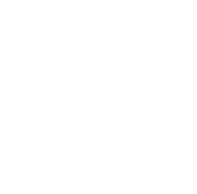 Speakerphone Icon