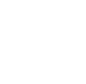 Squares Icon