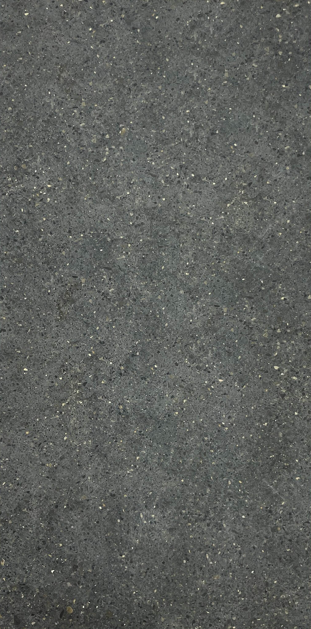 Beton Charcoal Anti Slip Rectified Porcelain Tile 3931