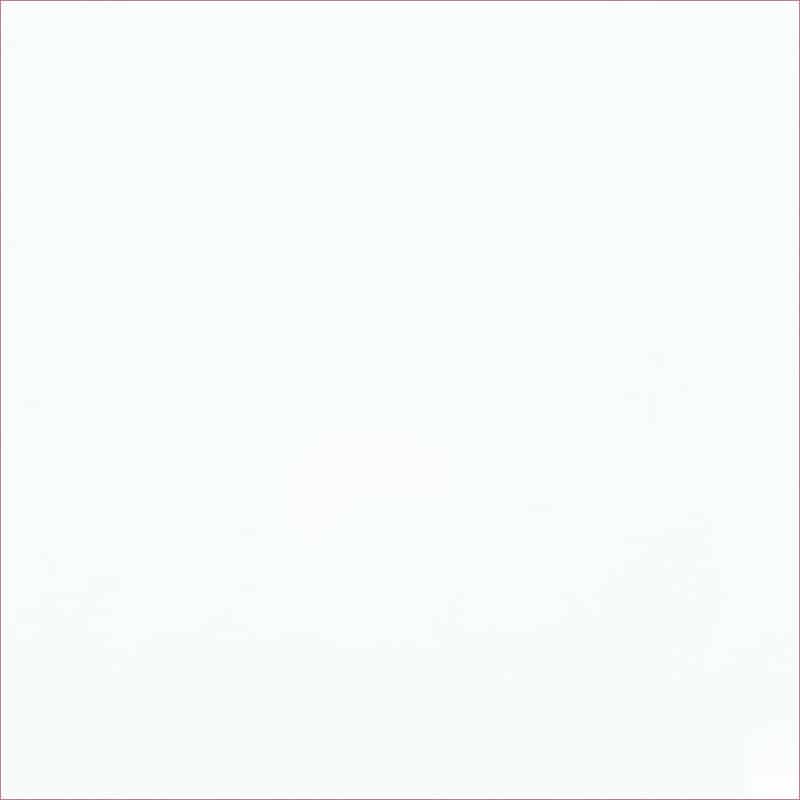 250x400mm Gloss White Non Rectified Wall Tile (#4215)