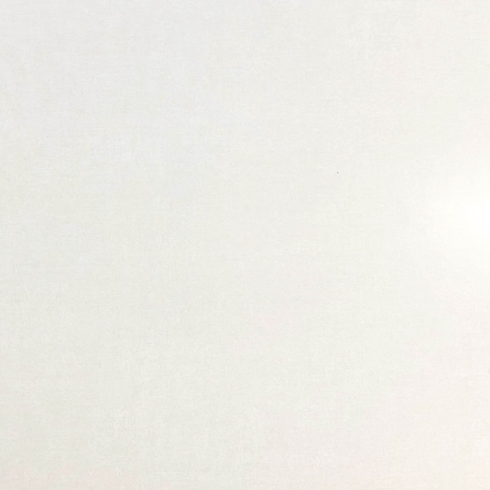 Bianco Matt Non-Rectified Glazed Porcelain Tile (#6929)