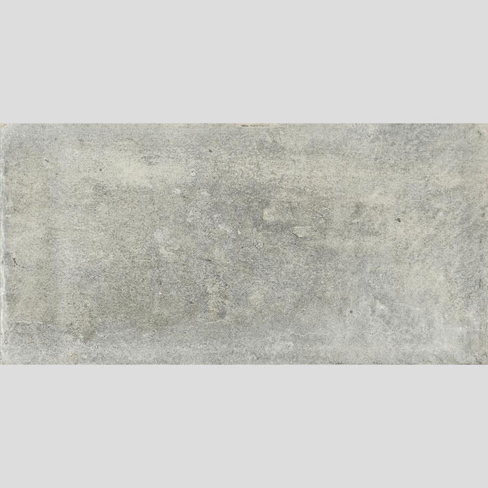 500x1000mm Endurance Gris Matt Finish Spanish Porcelain Tile (#6307)