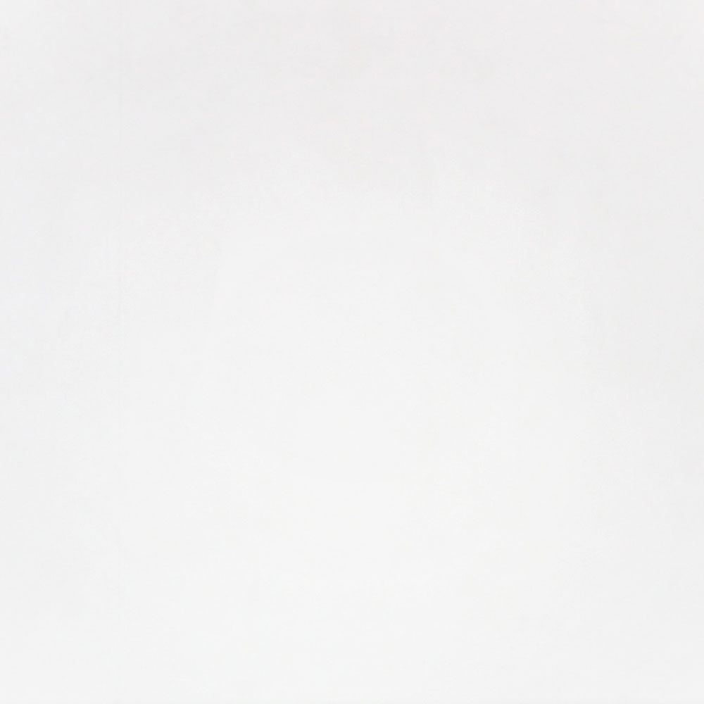 300x300mm Honed Finish White Porcelain Floor Tile (#5838)