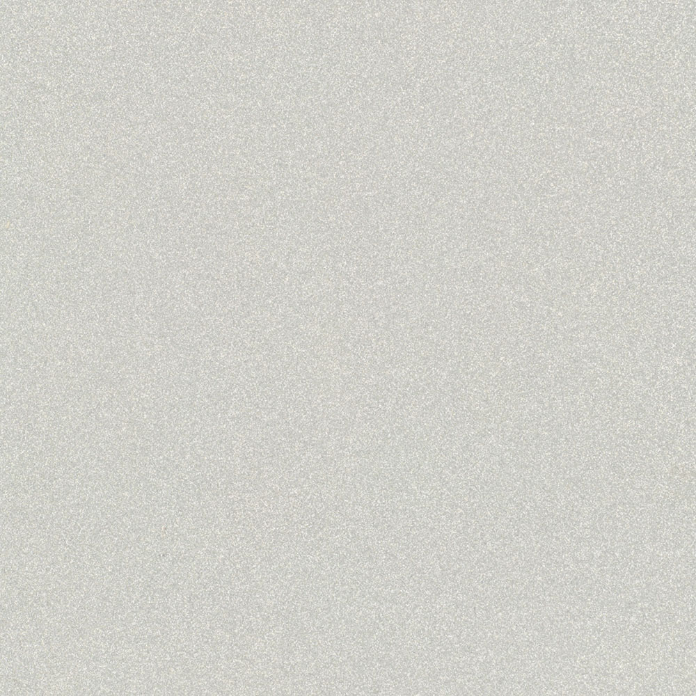 300x300mm Light Grey Matt Full Body Outdoor Indoor Porcelain Tile (#5959)