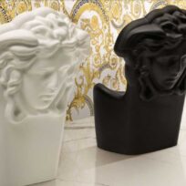 Versace Ceramics Maximvs Statuario Porcelain Panel | Slab D 3720