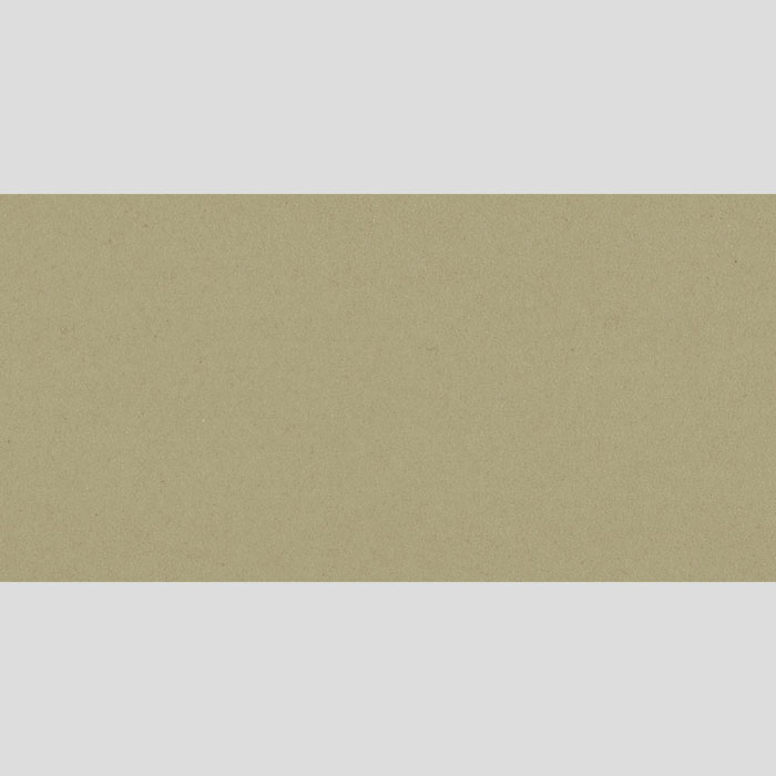 Park Avenue Moka Full Body Polished Porcelain Floor and Wall Tile (#6156)