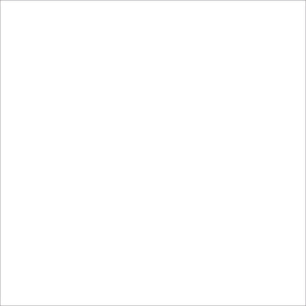 300x600mm White Gloss Rectified Edge Ceramic Wall Tile (#4105)